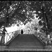 Martin Dinh Photo 10