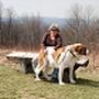 Debra Yates Photo 3