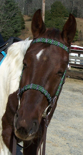 Nancy Seay Photo 6