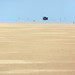 Sandy Hoeft Photo 5