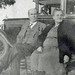 Elizabeth Lawton Photo 25