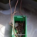 Bin Lin Photo 10