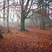 Jeremy Heath Photo 41