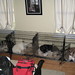 Sonya Bell Photo 25