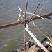 Francis Cline Photo 9