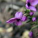 Susan Thies Photo 10
