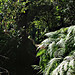 Harold Reid Photo 39