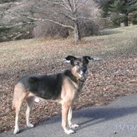 Stephanie Capps Photo 34