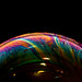 David Vick Photo 19