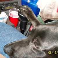 Terry Wright Photo 9