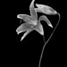 Thomas Marx Photo 17