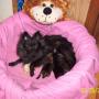 Judy Stover Photo 37