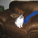 Rita Palmer Photo 9