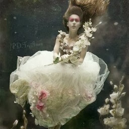 Ana Ellis Photo 28