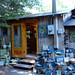 Susan Crowe Photo 14