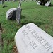 John Sherman Photo 56