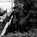 Paul Schwarz Photo 13
