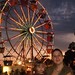 Julia Farris Photo 8