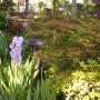 Kathy Potts Photo 37