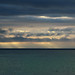 Ray Carrillo Photo 24