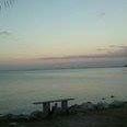 Sonia Quinones Photo 16
