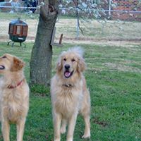 Connie Schulte Photo 25