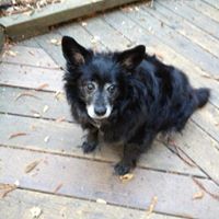 Nancy Haworth Photo 5