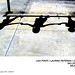 Lisa Pagano Photo 28