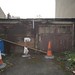 Jason Dail Photo 17