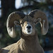 Larry Bonner Photo 21