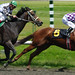 Chad Hastings Photo 11