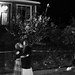 William Wolfe Photo 33