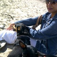 Cheryl Reyes Photo 26