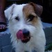 Ralph Russell Photo 9