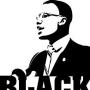 Amir Harris Photo 15