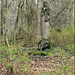 Regina Woods Photo 13