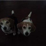 Linda Scanlon Photo 19