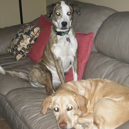 Kathleen Peterson Photo 32