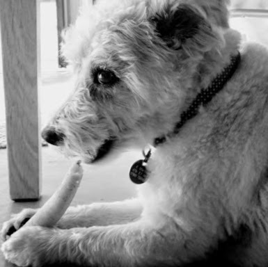 Ruth Clarke Photo 37