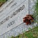 Ramon Lazaro Photo 12