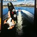 Chris Shea Photo 19