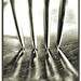 Jason Hanner Photo 11