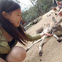 Amy Zhu Photo 41