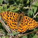 Debra Dias Photo 21