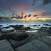 Ray Cartwright Photo 31