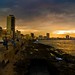 Linda Costa Photo 16