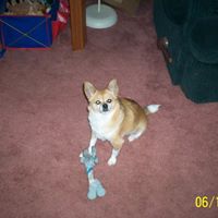 Theresa Morse Photo 21