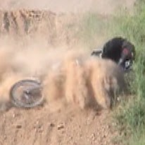 Mitch Perry Photo 31