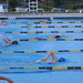 Wendy Carroll Photo 13