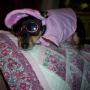 Paula Tilley Photo 10